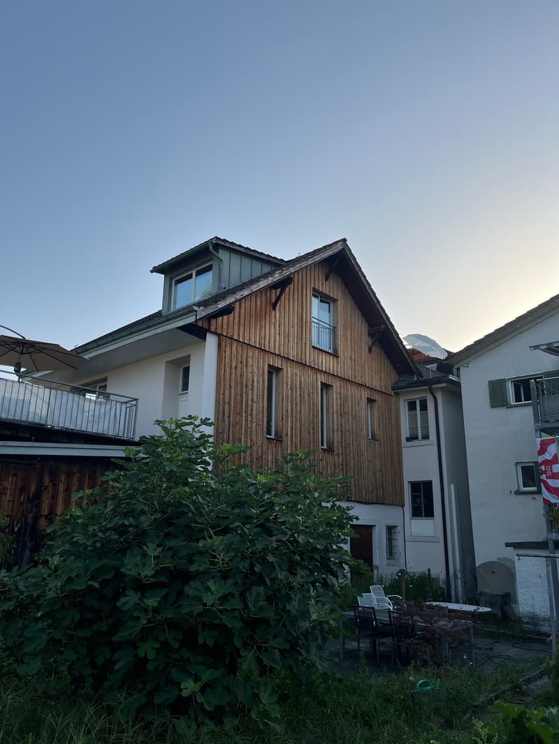 Charmantes Loft-Apartment mit Kamin und Seeblick in Uetikon am See (10)