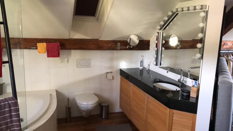 Charmantes Loft-Apartment mit Kamin und Seeblick in Uetikon am See (4)