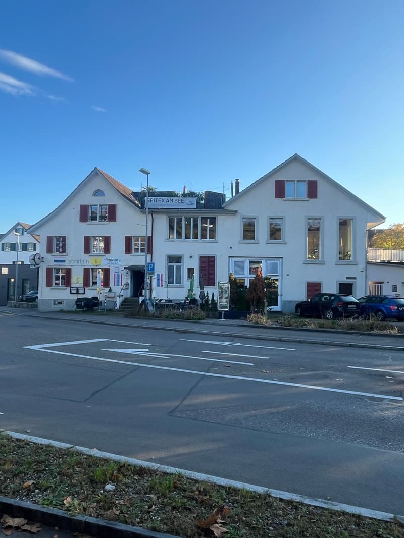 Charmantes Loft-Apartment mit Kamin und Seeblick in Uetikon am See (16)
