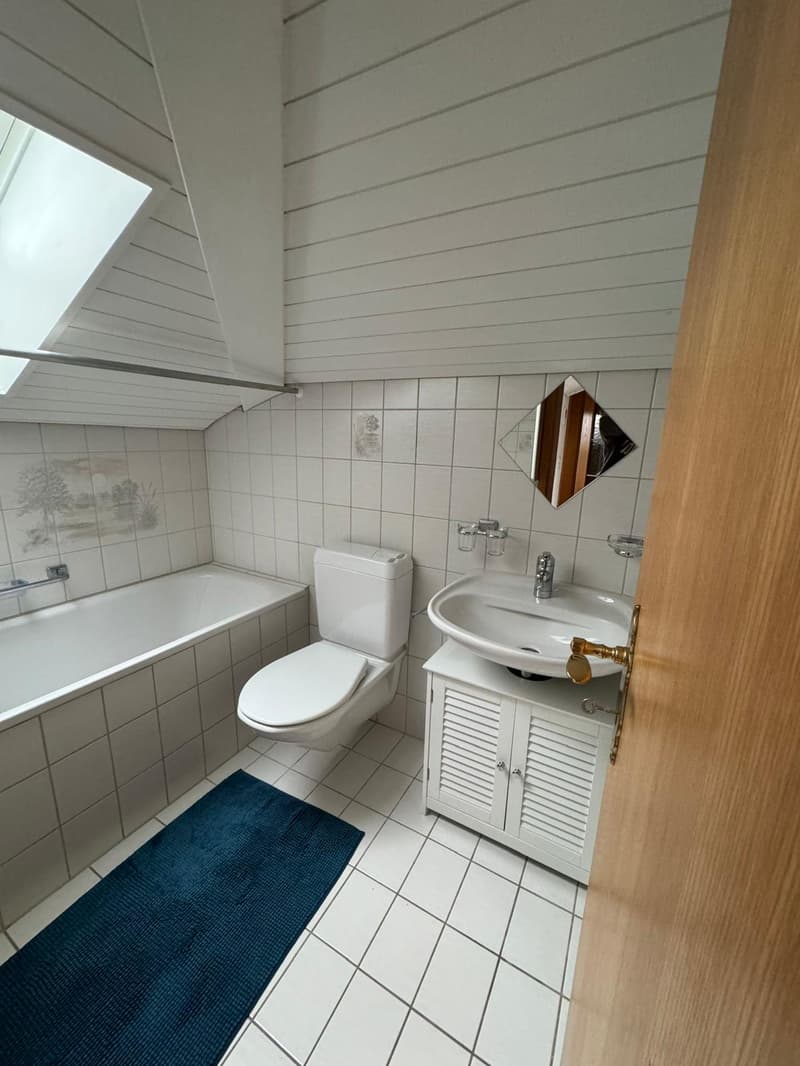 Schöne kleine möblierte 2-Zimmer-Dachwohnung mit Balkon – 8852 Altendorf (6)
