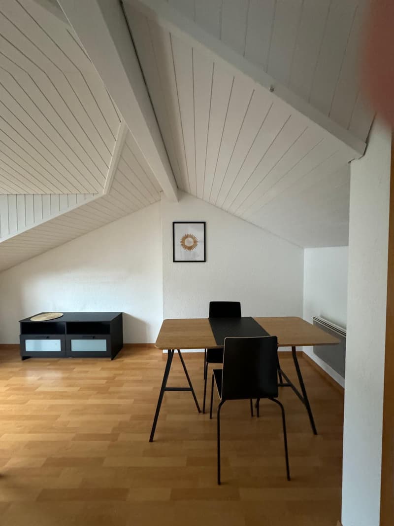 Schöne kleine möblierte 2-Zimmer-Dachwohnung mit Balkon – 8852 Altendorf (2)