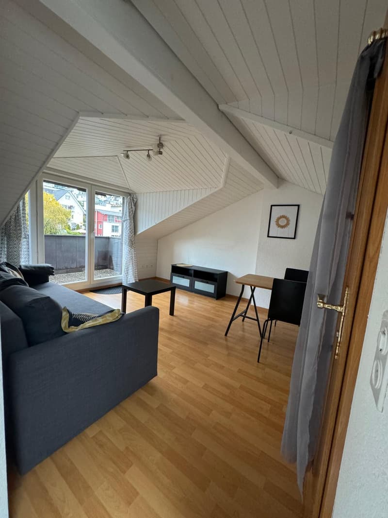 Schöne kleine möblierte 2-Zimmer-Dachwohnung mit Balkon – 8852 Altendorf (4)