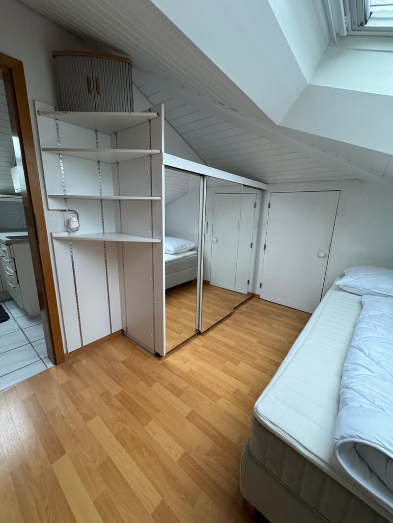 Schöne kleine möblierte 2-Zimmer-Dachwohnung mit Balkon – 8852 Altendorf (8)