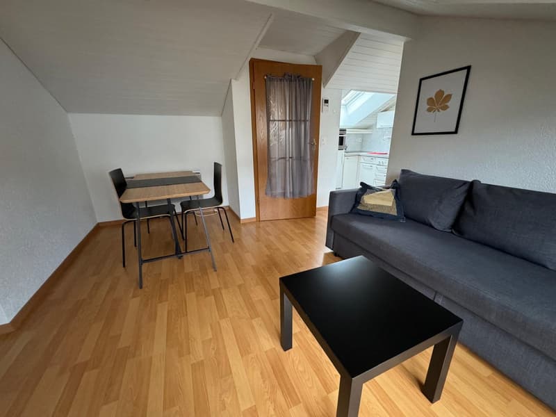 Schöne kleine möblierte 2-Zimmer-Dachwohnung mit Balkon – 8852 Altendorf (10)