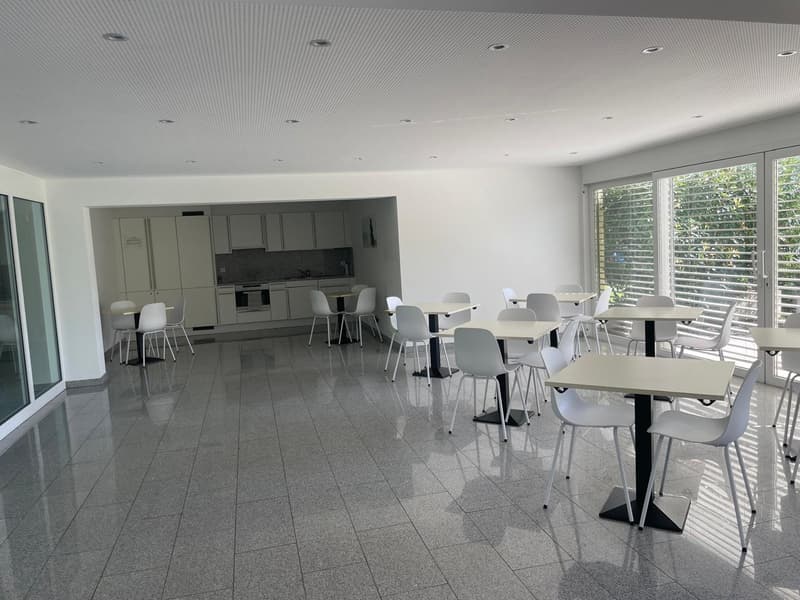 Pregassona – luminoso appartamento di 1 locale con ampio balcone e piscina (13)