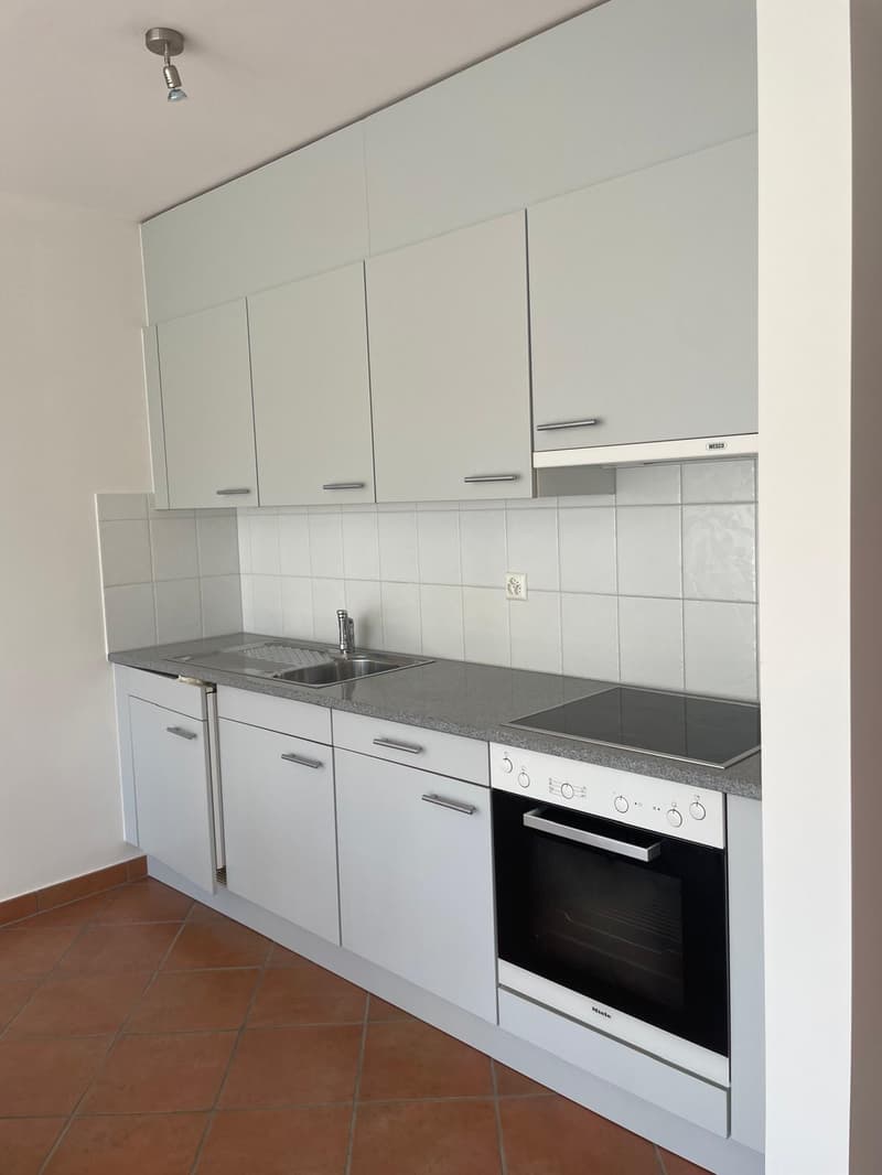 Pregassona – luminoso appartamento di 1 locale con ampio balcone e piscina (3)