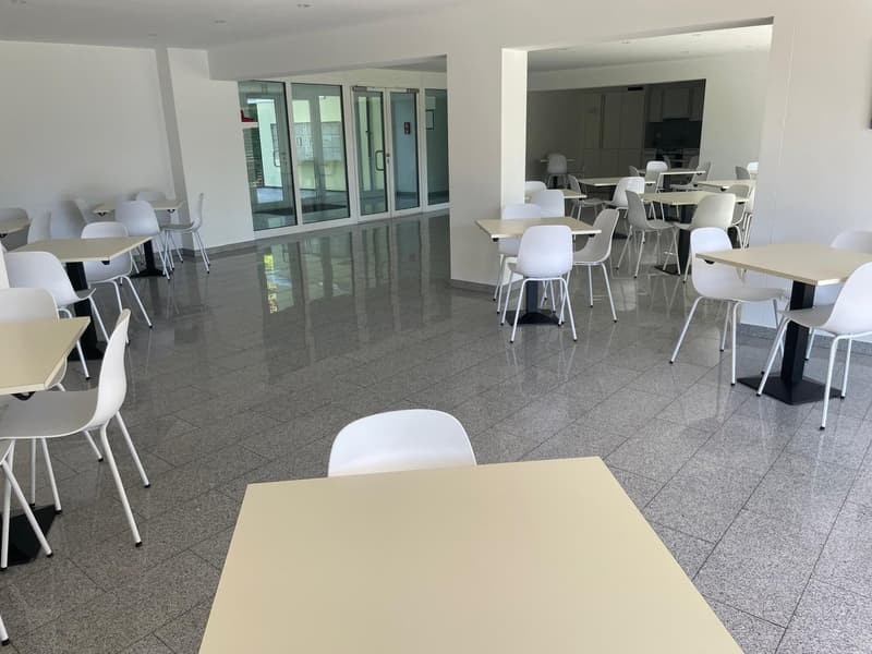 Pregassona – luminoso appartamento di 1 locale con ampio balcone e piscina (10)