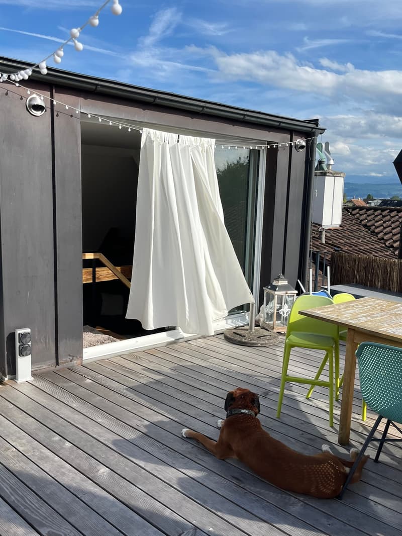 Charmante 2.5-Zimmer-Dachwohnung an sonniger Lage in Uetikon am See (5)