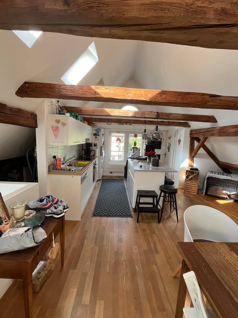 Charmante 2.5-Zimmer-Dachwohnung an sonniger Lage in Uetikon am See (7)