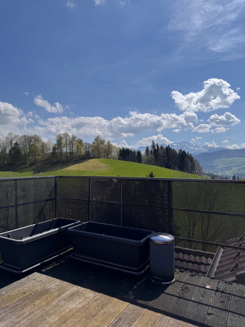 2.5-Zi-Maisonettewohnung mit Dachterrasse (9)