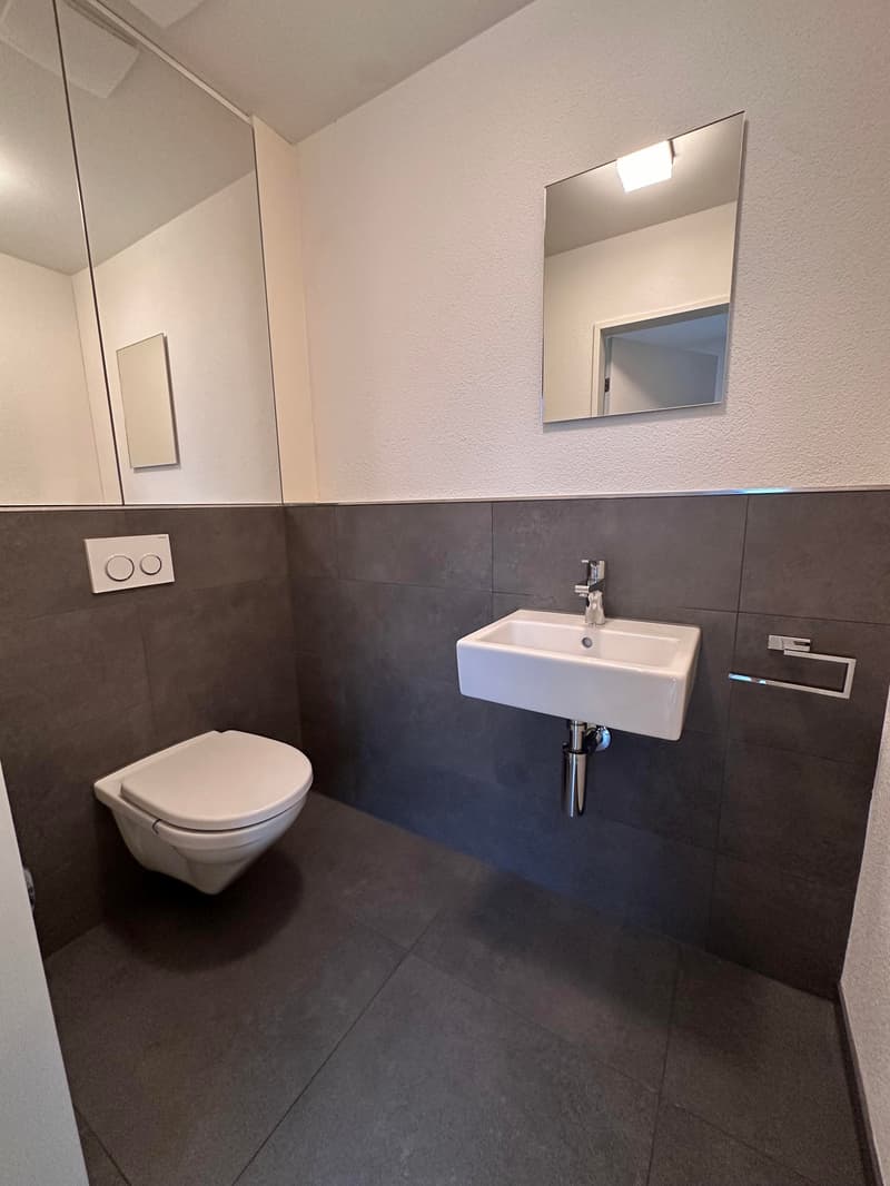 Wunderschönes 5.5-Zimmer-Familienhaus | ca. 240 m² | Garten | 10 Min. von Zug (6)