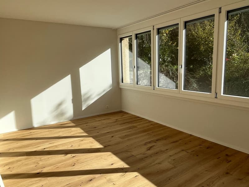Sehr sonnige, ruhige, teilrenovierte 4.5-Zimmerwohnung (6)