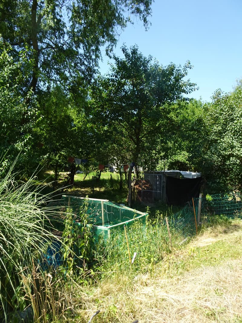 Ökologisch umgebautes ehemaliges Bauernhaus inmitten der Natur (5)