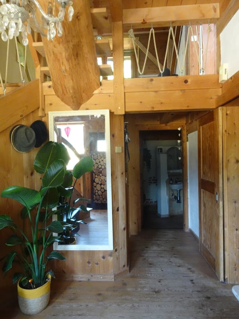 Ökologisch umgebautes ehemaliges Bauernhaus inmitten der Natur (13)