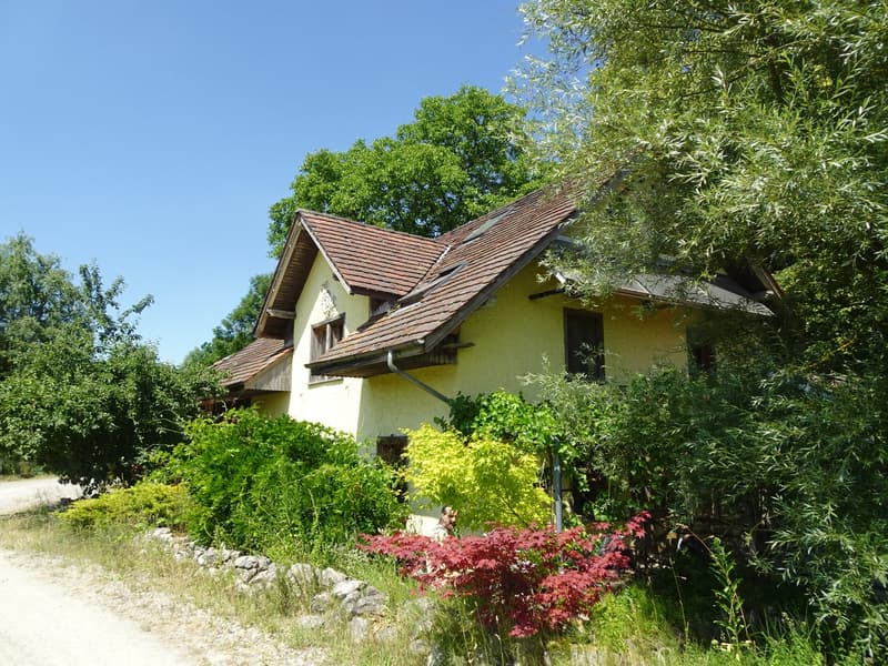 Ökologisch umgebautes ehemaliges Bauernhaus inmitten der Natur (1)