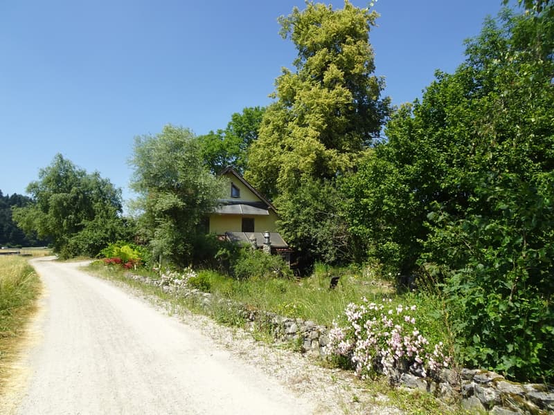 Ökologisch umgebautes ehemaliges Bauernhaus inmitten der Natur (2)