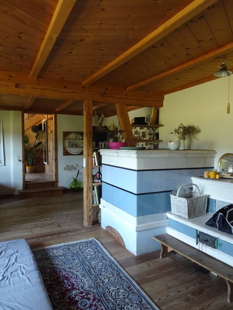 Ökologisch umgebautes ehemaliges Bauernhaus inmitten der Natur (11)