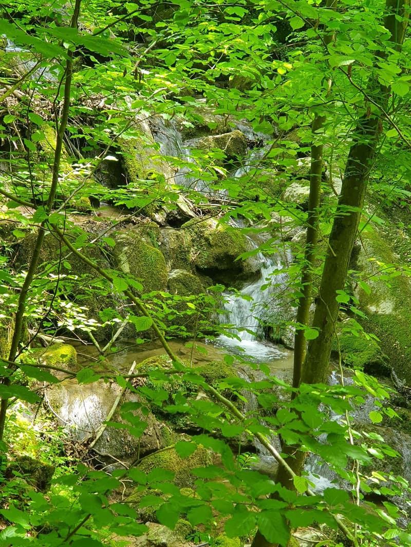 Helle 4.5-Zi.-Wohnung im Minergie-Standard mit Blick auf den Rossbach-Wald- Herrliberg Goldküste (12)