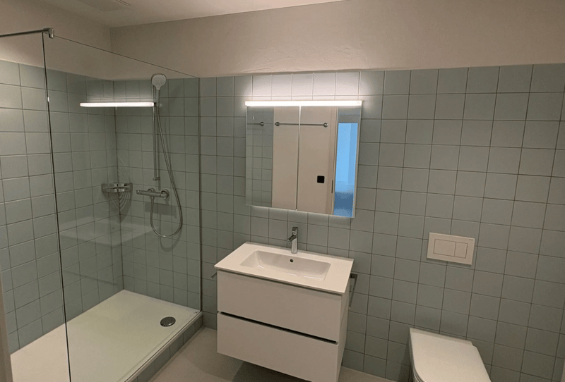 Renovierte Altbauwohnung - 2. Obergeschoss mit Sitzplatz im Garten - 4.5-Zimmer mit Seeblick (8)