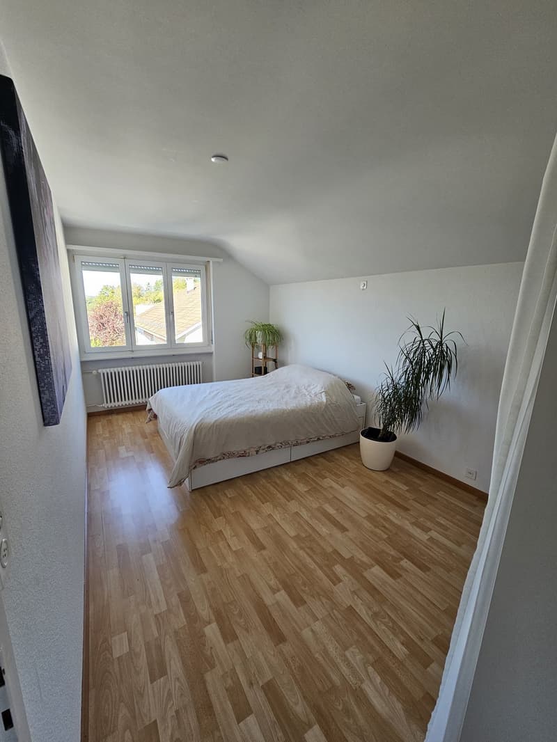 Wohnen am Waldrand - charmante 2-Zimmerwohnung in Wettswil (6)