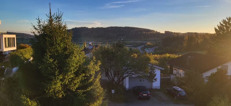 Wohnen am Waldrand - charmante 2-Zimmerwohnung in Wettswil (3)