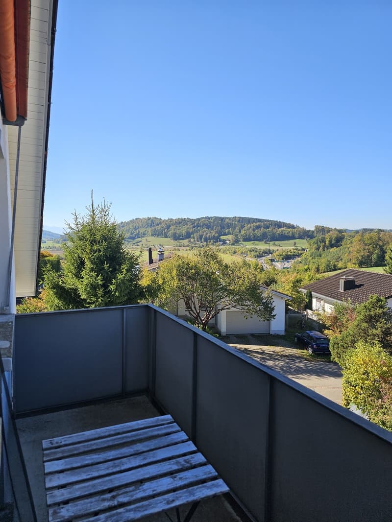 Wohnen am Waldrand - charmante 2-Zimmerwohnung in Wettswil (2)