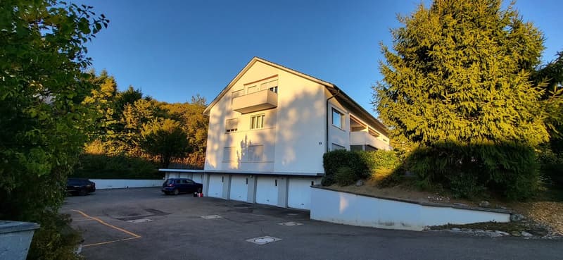 Wohnen am Waldrand - charmante 2-Zimmerwohnung in Wettswil (1)