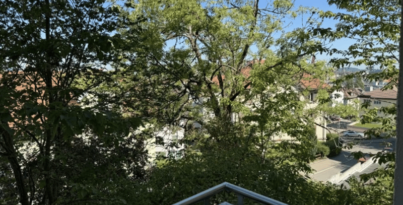 Schöne und helle 2,5 Zimmer-Wohnung ab SOFORT (12)