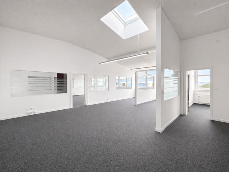 Helle und flexibel nutzbare Gewerbefläche in St. Gallen-Winkeln (1)