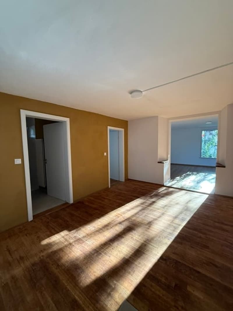 Erstvermietung nach Renovation, grosszügige 3.5-Zimmer-EG-Wohnung mit Terrasse und Garten (15)