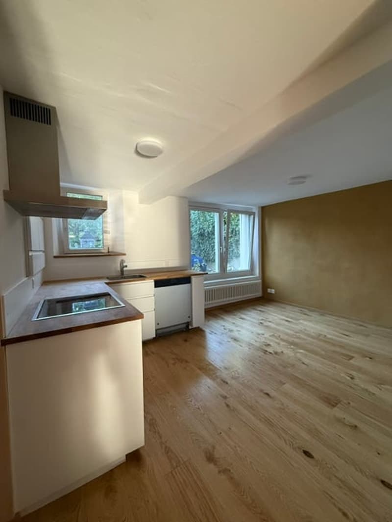 Erstvermietung nach Renovation, grosszügige 3.5-Zimmer-EG-Wohnung mit Terrasse und Garten (1)