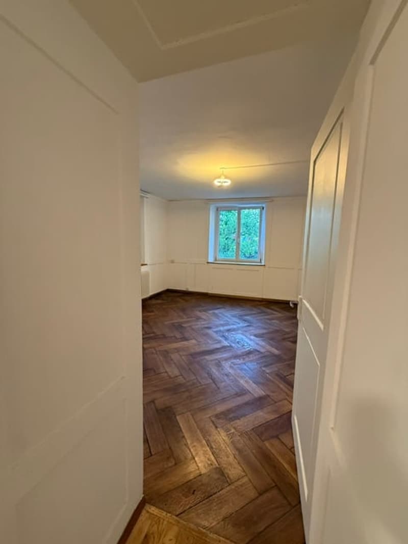 Erstvermietung nach Renovation, grosszügige 3.5-Zimmer-EG-Wohnung mit Terrasse und Garten (5)