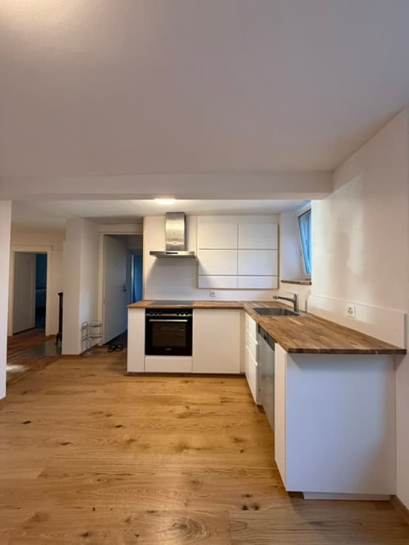 Erstvermietung nach Renovation, grosszügige 3.5-Zimmer-EG-Wohnung mit Terrasse und Garten (2)