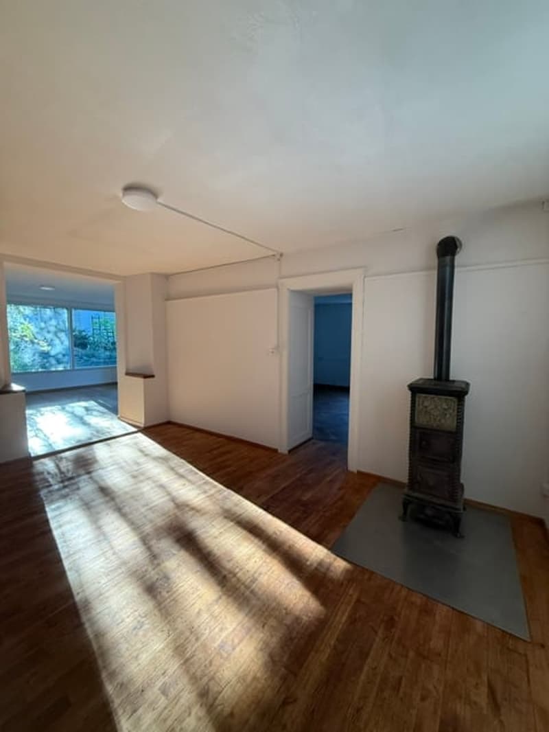 Erstvermietung nach Renovation, grosszügige 3.5-Zimmer-EG-Wohnung mit Terrasse und Garten (17)