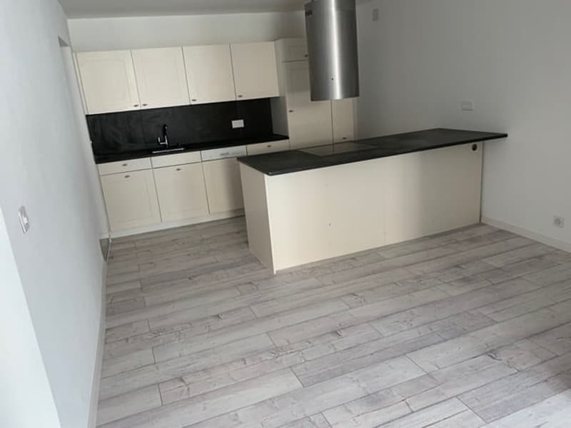 Charmant duplex de 5.5 pièces à La Neuveville (2)