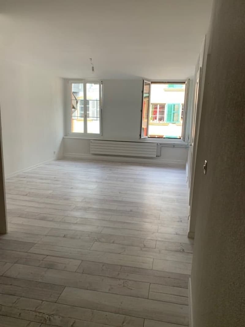 Charmant duplex de 5.5 pièces à La Neuveville (4)