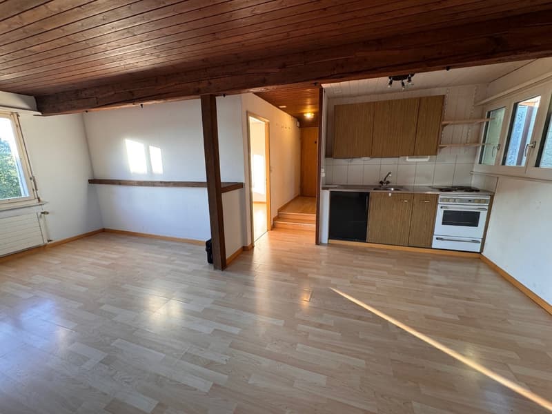 2,5 Zimmer Apartment in Haus mit sympathischer Atmosphäre (3)