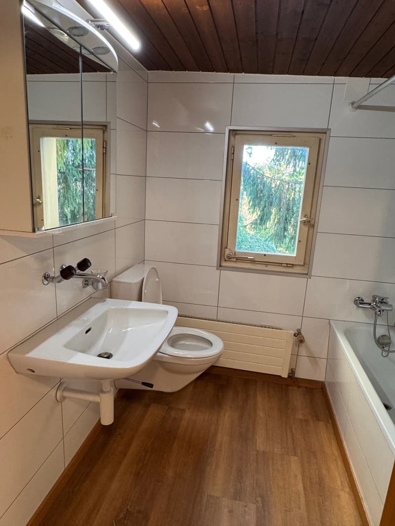 2,5 Zimmer Apartment in Haus mit sympathischer Atmosphäre (4)