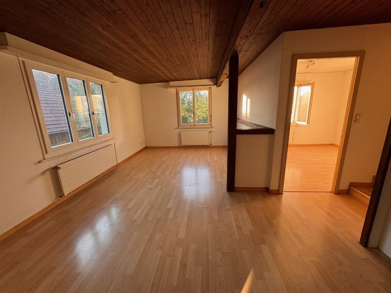 2,5 Zimmer Apartment in Haus mit sympathischer Atmosphäre (2)
