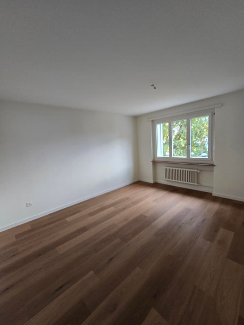 Renovierte 3 Zimmer Wohnung mit Balkon in Baar (3)