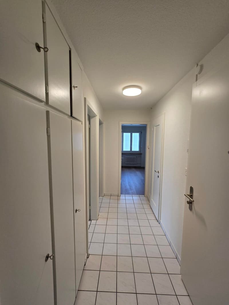 Renovierte 3 Zimmer Wohnung mit Balkon in Baar (4)