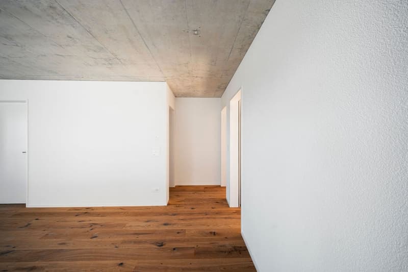 Moderne 4.5-Zimmer-Neubau-Wohnung mit Balkon in Bäriswil (22)