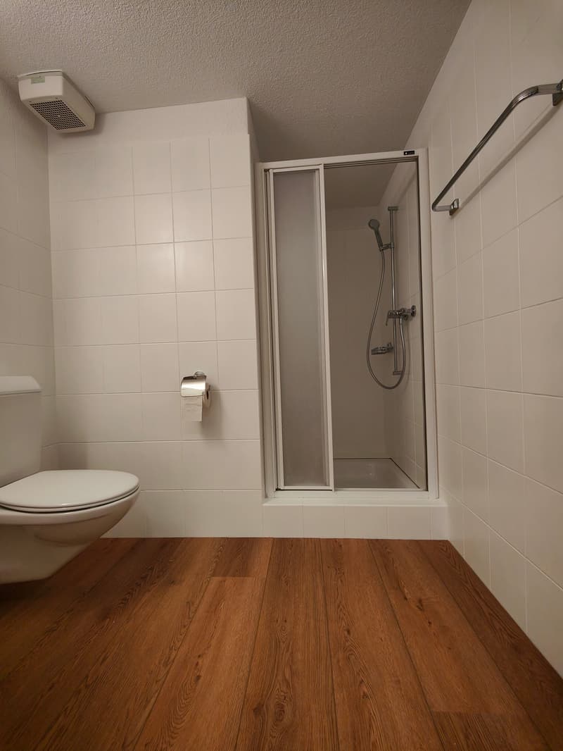 Grosszügige 4.5-Zimmer-Wohnung in Familienquartier in Sempach - ab sofort verfügbar! (8)