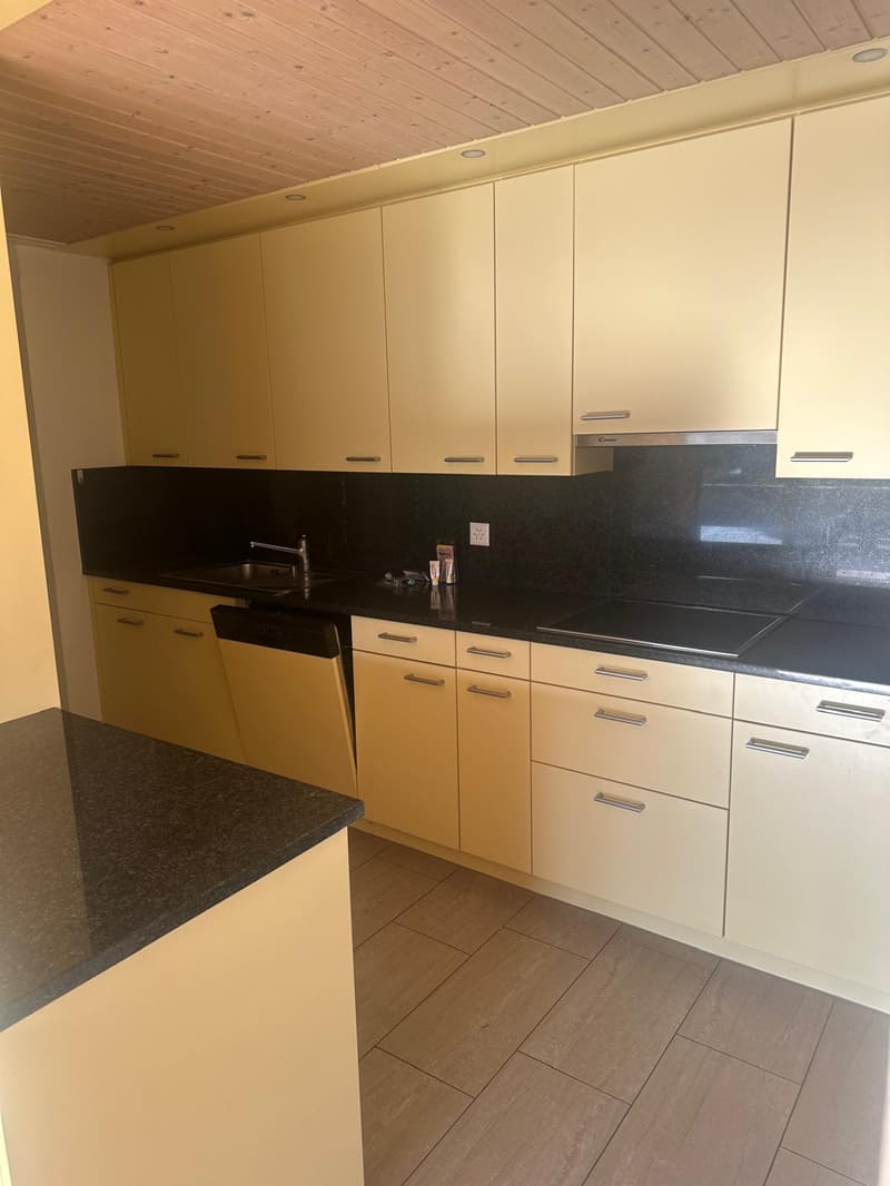 Helle 4.5-Zimmer-Wohnung mit Balkon und Lift in Reiden (7)