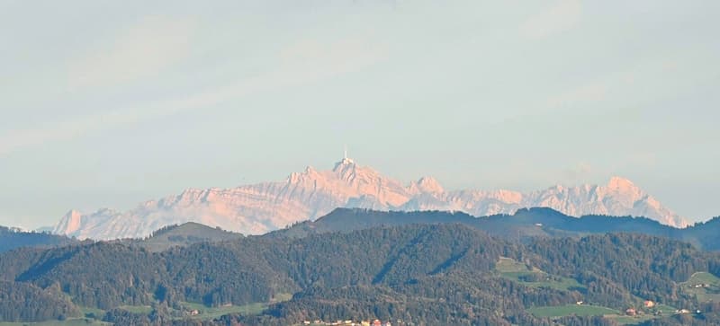 Wohnen im Grünen, 9Km vom HB Zürich mit Säntisblick (9)