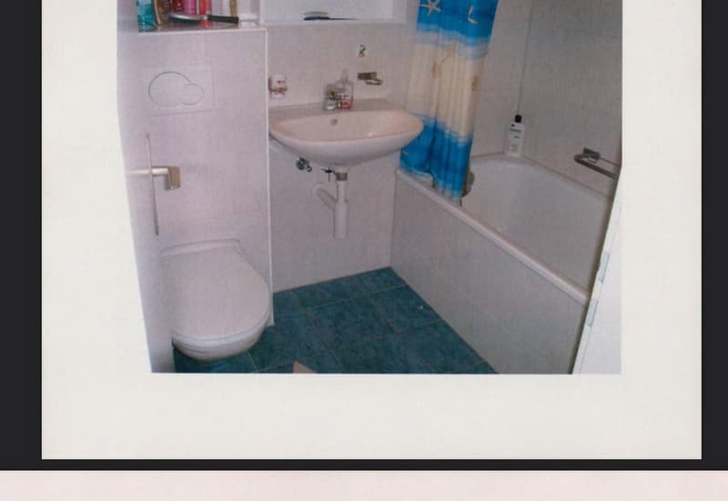 5.5 Z. Wohnung, 134 m2, total renoviert 2010, ruhige, zentrale Lage (3)