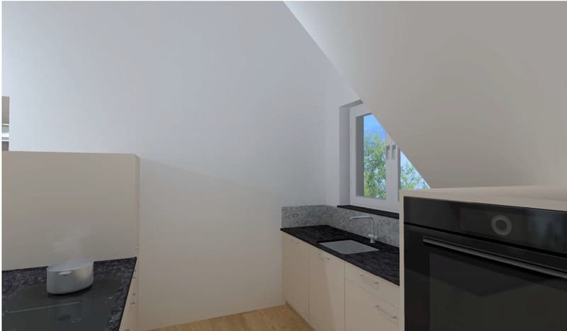 Neue 4 1/2 Zimmer Galerie Wohnung (14)