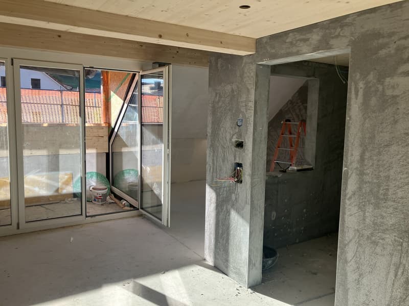 Neue 4 1/2 Zimmer Galerie Wohnung (7)