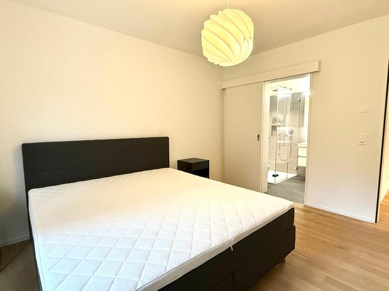 Vollmöblierte 3.5-Zimmer-Wohnung an Toplage in Luzern (6)