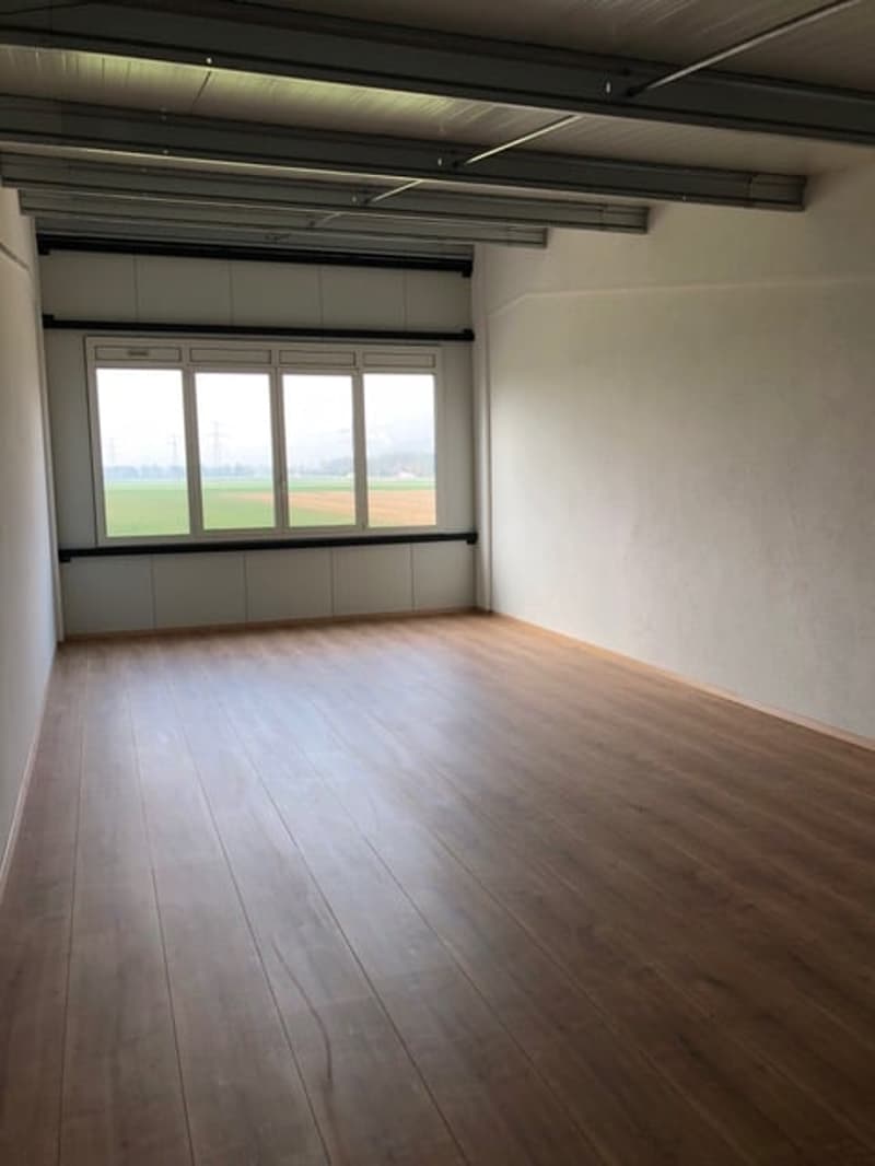 Gewerbe & Garagenbox für Ihr Business mit XXL Sektionaltor (14)